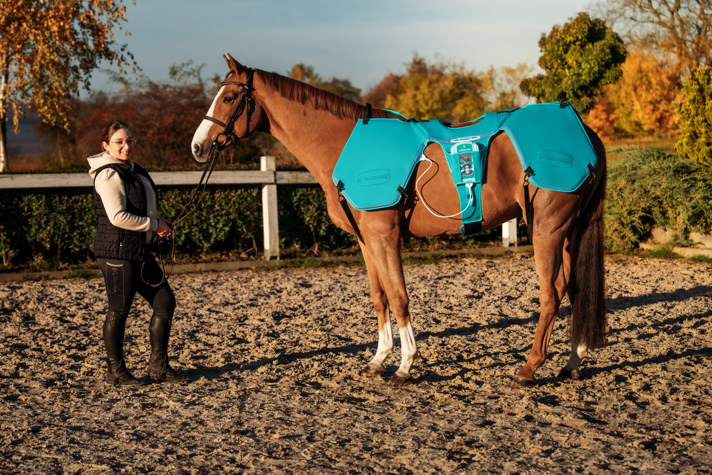 Horse with Lumina 3D-e VET HORSE MOTION CARE