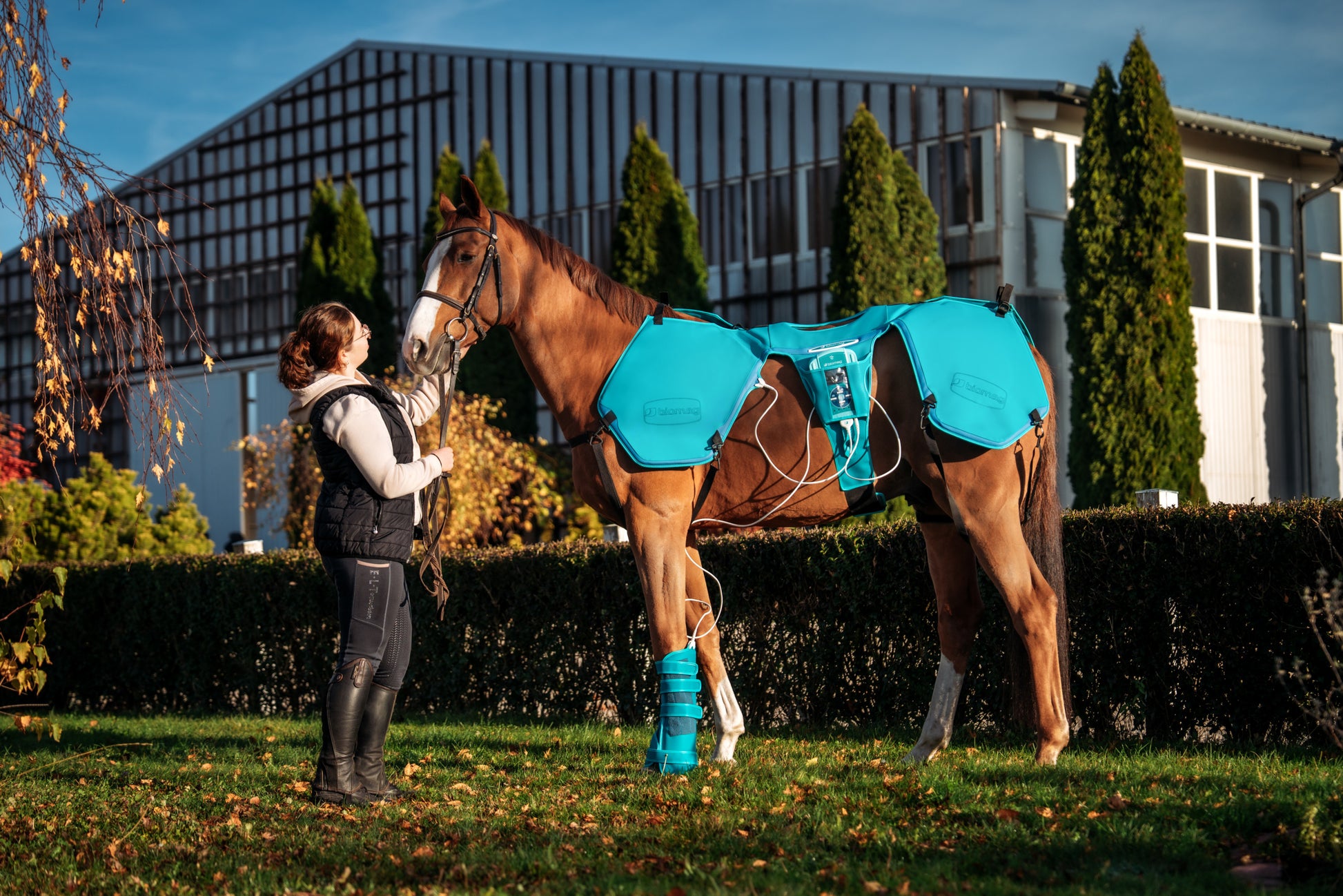 Horse with Lumina 3D-e VET HORSE MOTION CARE