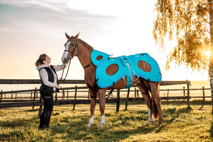 Horse with Lumina 3D-e VET HORSE TREATMENT ELITE