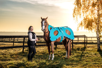 Horse with Lumina 3D-e VET HORSE TREATMENT ELITE